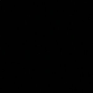 Meet your Posher, Kelsie